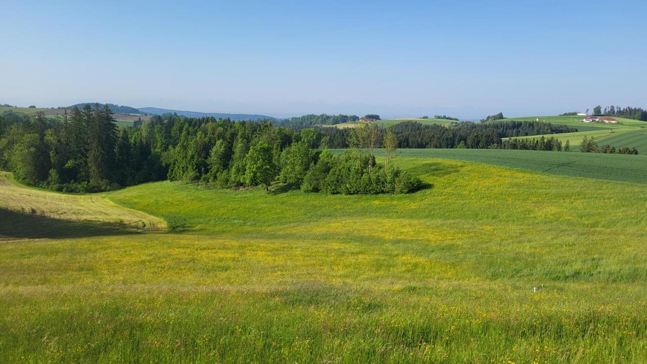 Cottage Alpenblick Gramastetten المظهر الخارجي الصورة