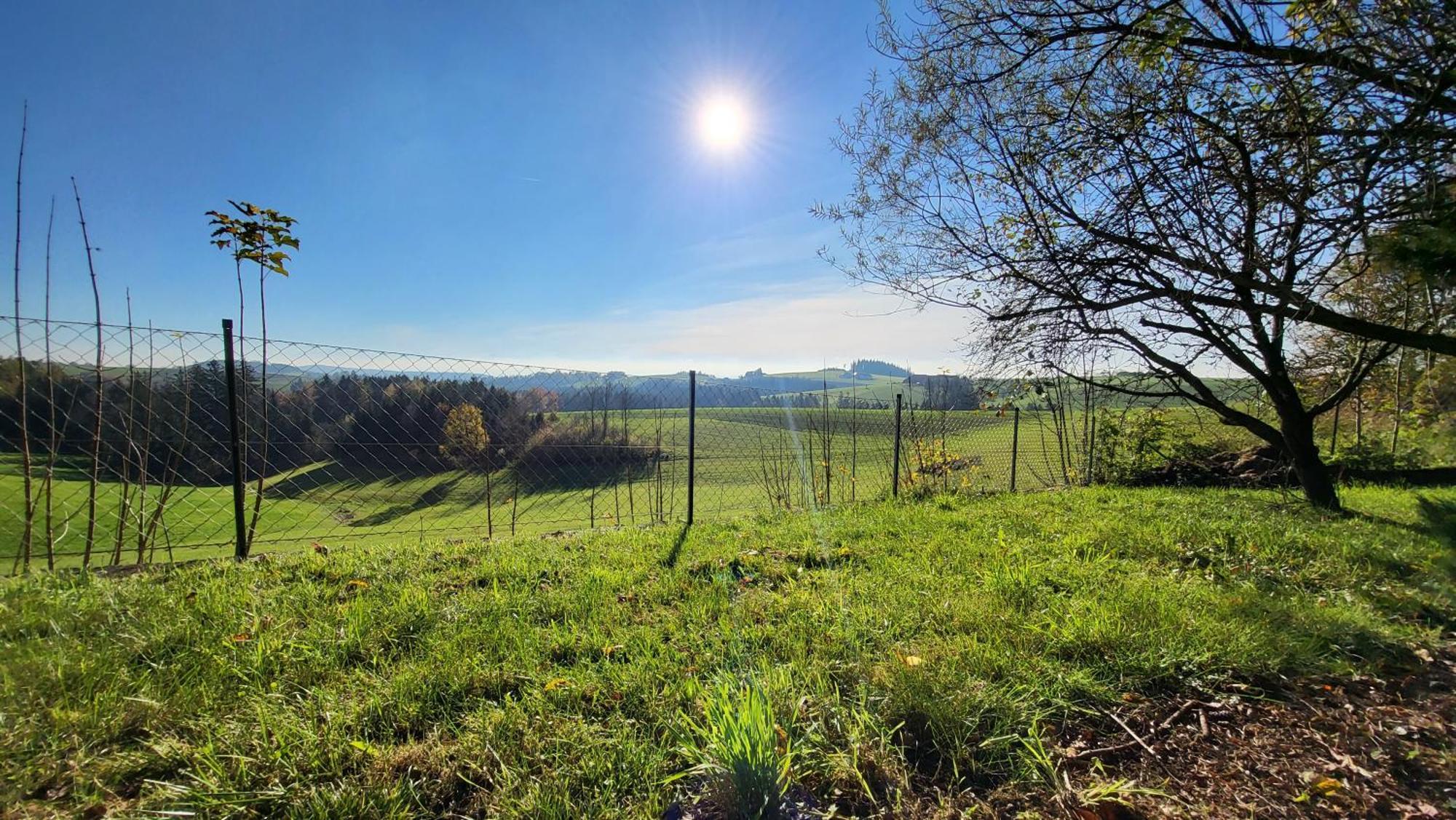 Cottage Alpenblick Gramastetten المظهر الخارجي الصورة